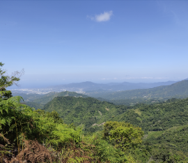 Turismo científico en Minca