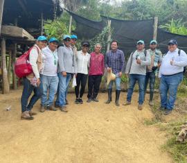 Indígenas Emberá Katío producen cacao bajo altos estándares ambientales en el Sur de Córdoba